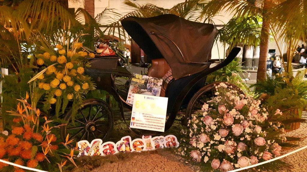فيلا Casa Violeta فونشال المظهر الخارجي الصورة