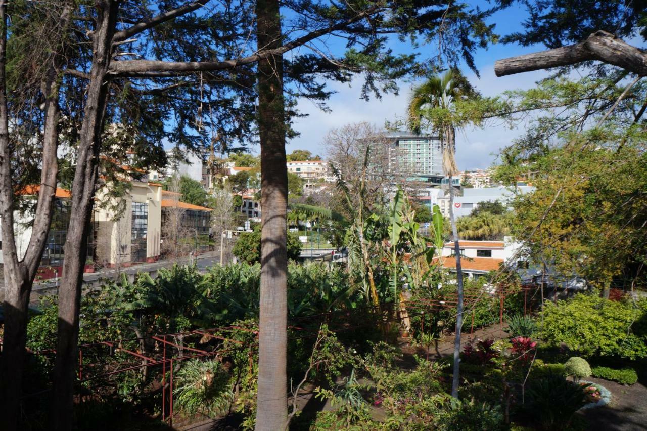 فيلا Casa Violeta فونشال المظهر الخارجي الصورة